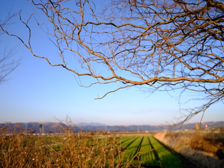 QT 05/05/2026 Tue. Luke 24 From Empty Tomb to Open Eyes 从空坟墓到睁开的眼睛