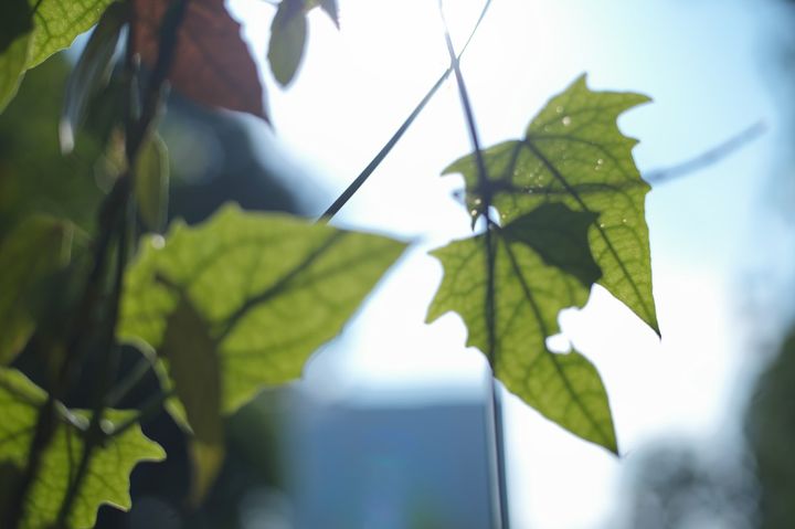 QT 08/09/2026 Tue Colossians 1 Beyond the Mundane: Christ in Me, the Hope of Glory 超越平凡：在我里面的基督，就是荣耀的盼望