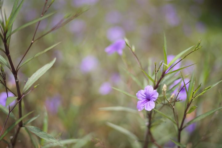 QT 02/10/2026 Fri John 13:18–38 Love: From Absence to Abundance to Assignment 爱：从匮乏到丰盛再到使命