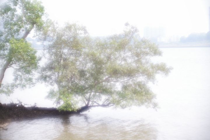 QT 15/10/2026 Thu Hebrews 2 Hold On to the Superior Christ. 紧握那至高的基督。